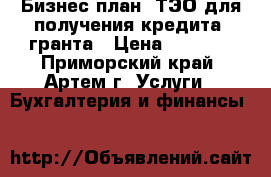 Бизнес-план, ТЭО для получения кредита, гранта › Цена ­ 3 000 - Приморский край, Артем г. Услуги » Бухгалтерия и финансы   
